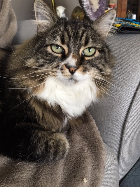 Imagine that – Tomorrow will be Today!