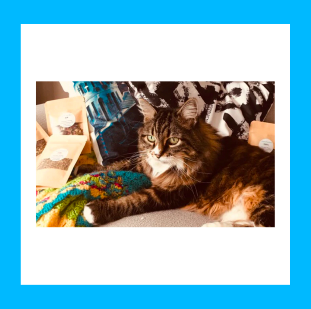 Did You See the Sign?