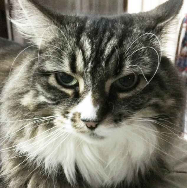 Asking for Help in 2022